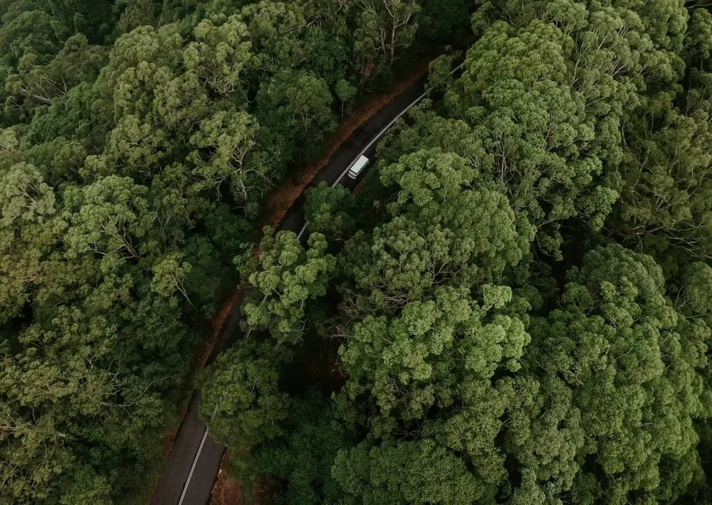 Car driving on scenic road representing road trip itineraries and travel journeys.