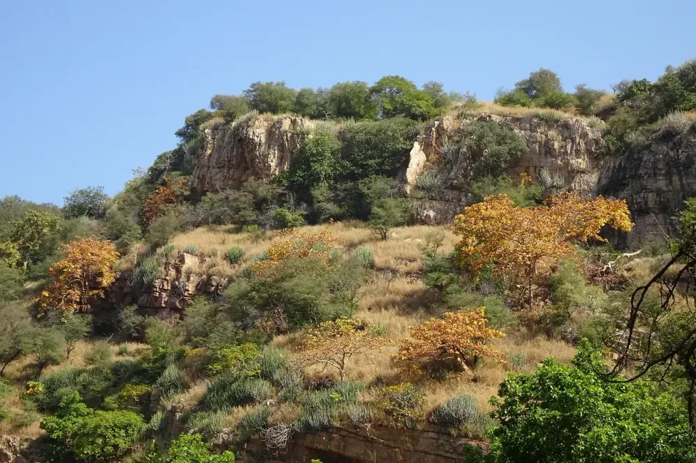Scenic view of the Aravalli hills on the Udaipur to Kumbhalgarh road trip in Rajasthan.